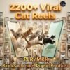2,200+ funny AI and real cat reels bundle for short-form content