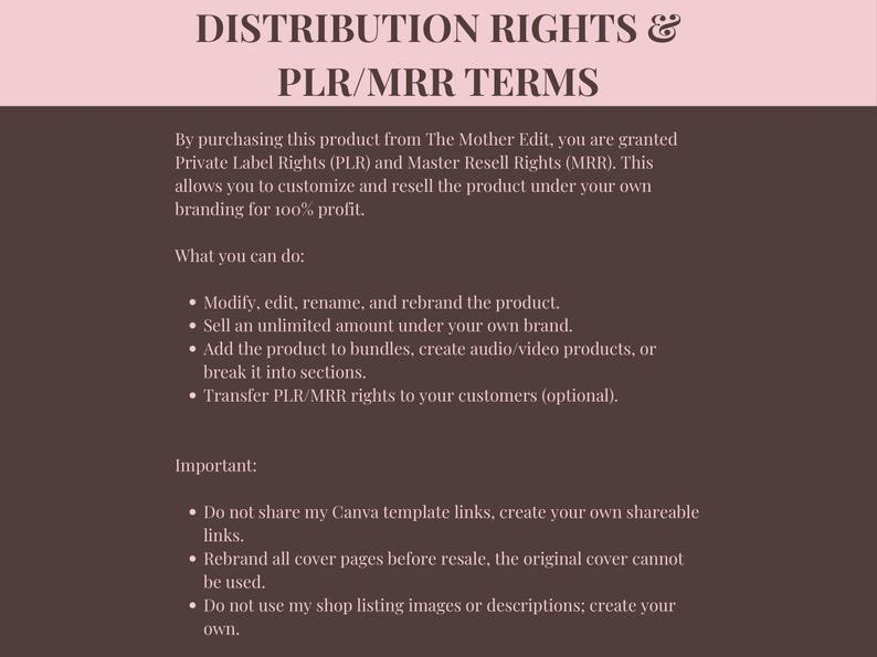 Faceless Creator Starter Kit | PLR & MRR Digital Products, Done For You DFY Canva Templates for Passive Income – Image 4