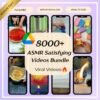 8000+ ASMR Satisfying Videos Bundle | MRR & PLR Included - Instagram Reels Content