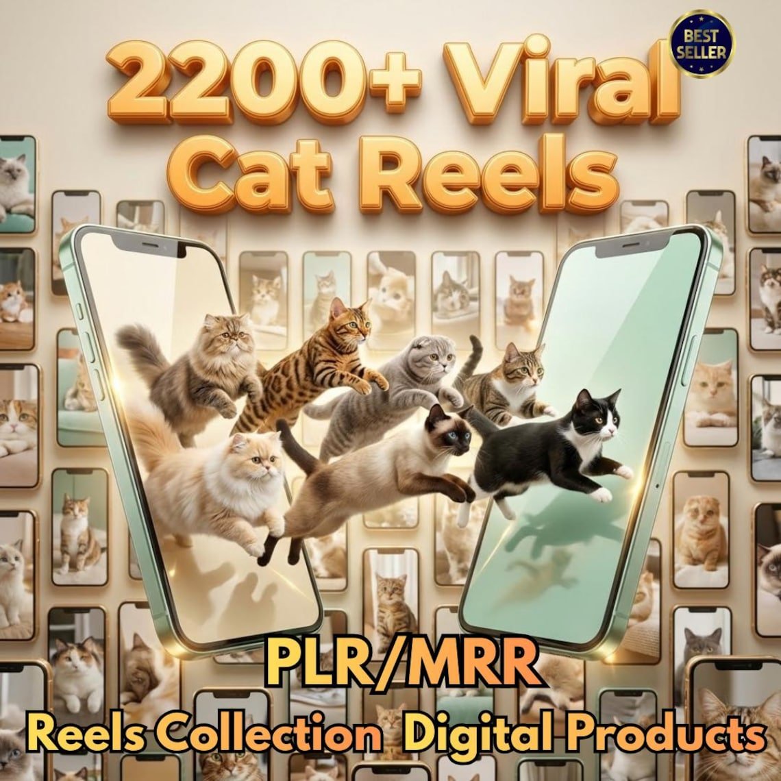 Real funny cat videos bundle with cute reactions, playful moments, and fails